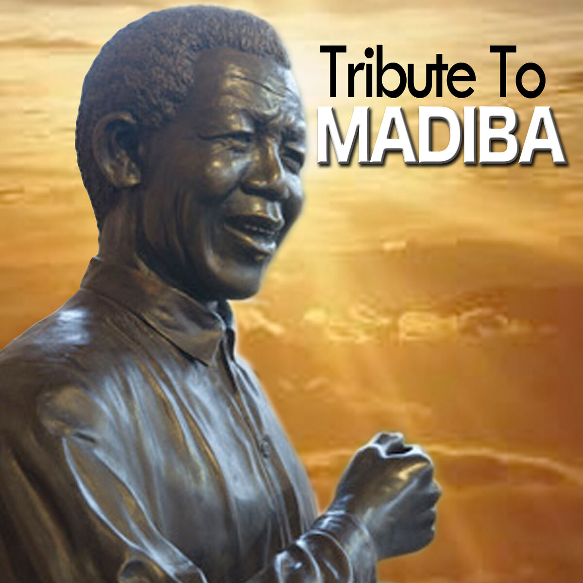 Album cover of Tribute to Madiba