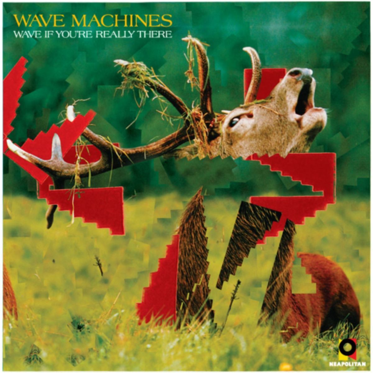 Album cover of Punk Spirit