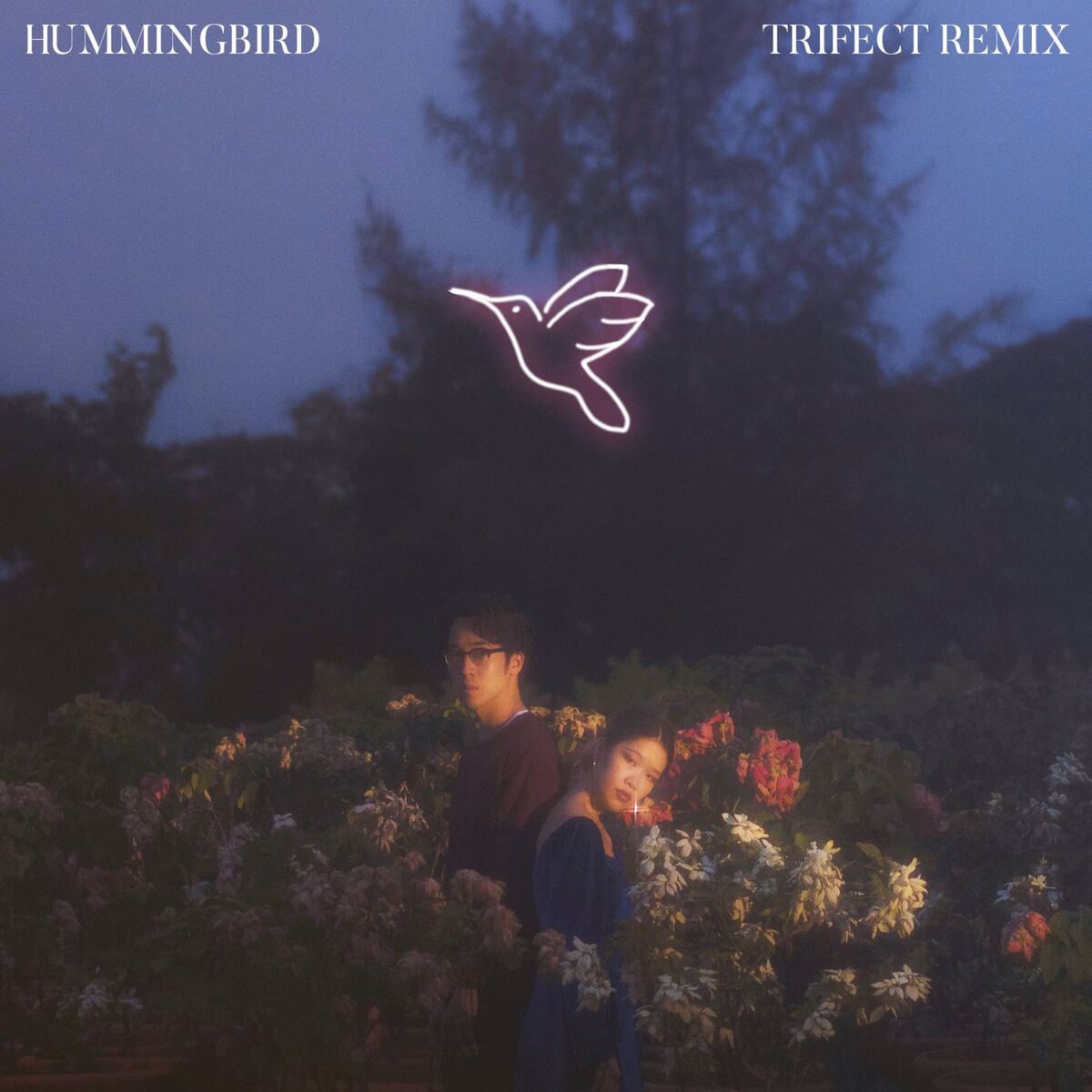 Album cover of Hummingbird (Trifect Remix)