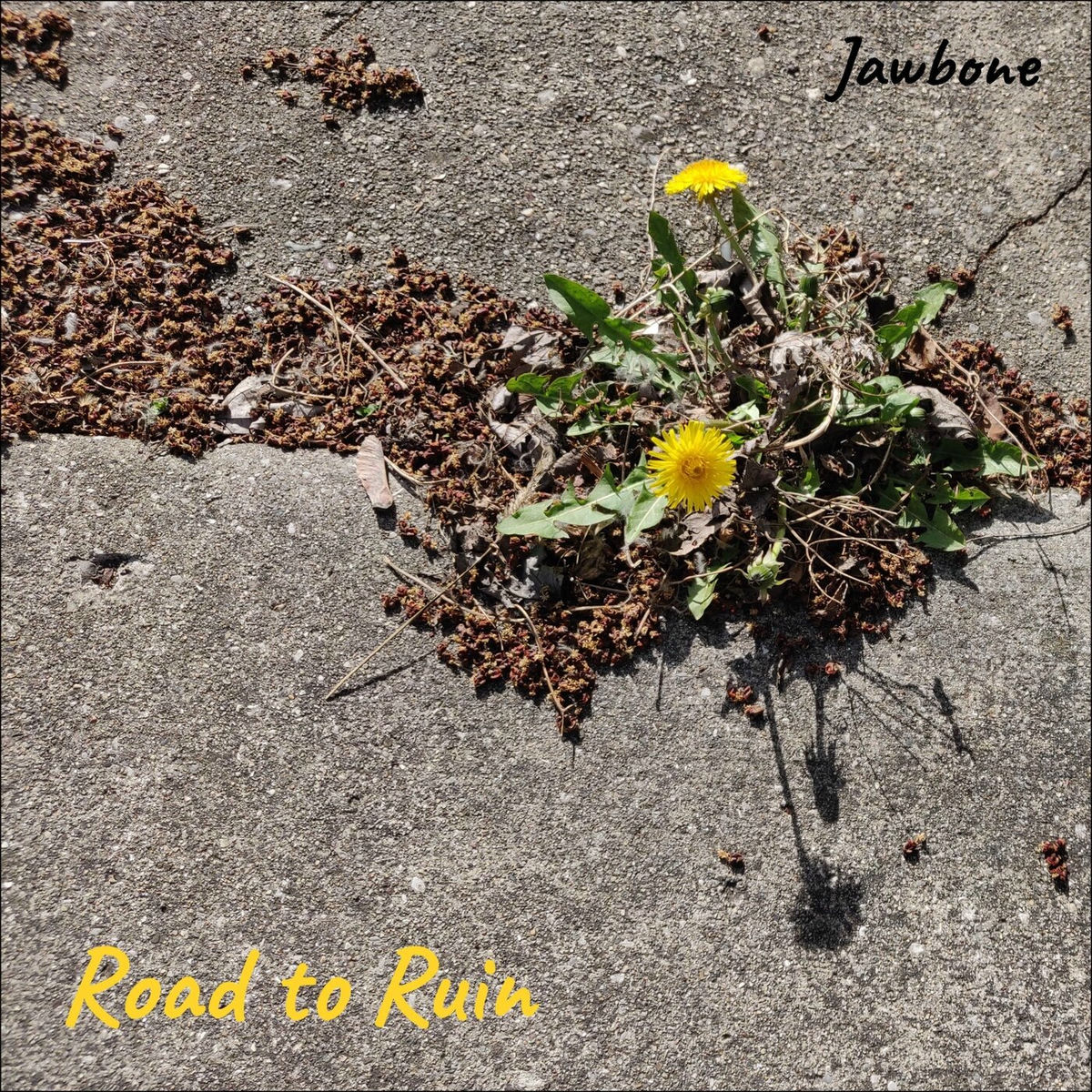 Album cover of Road to Ruin
