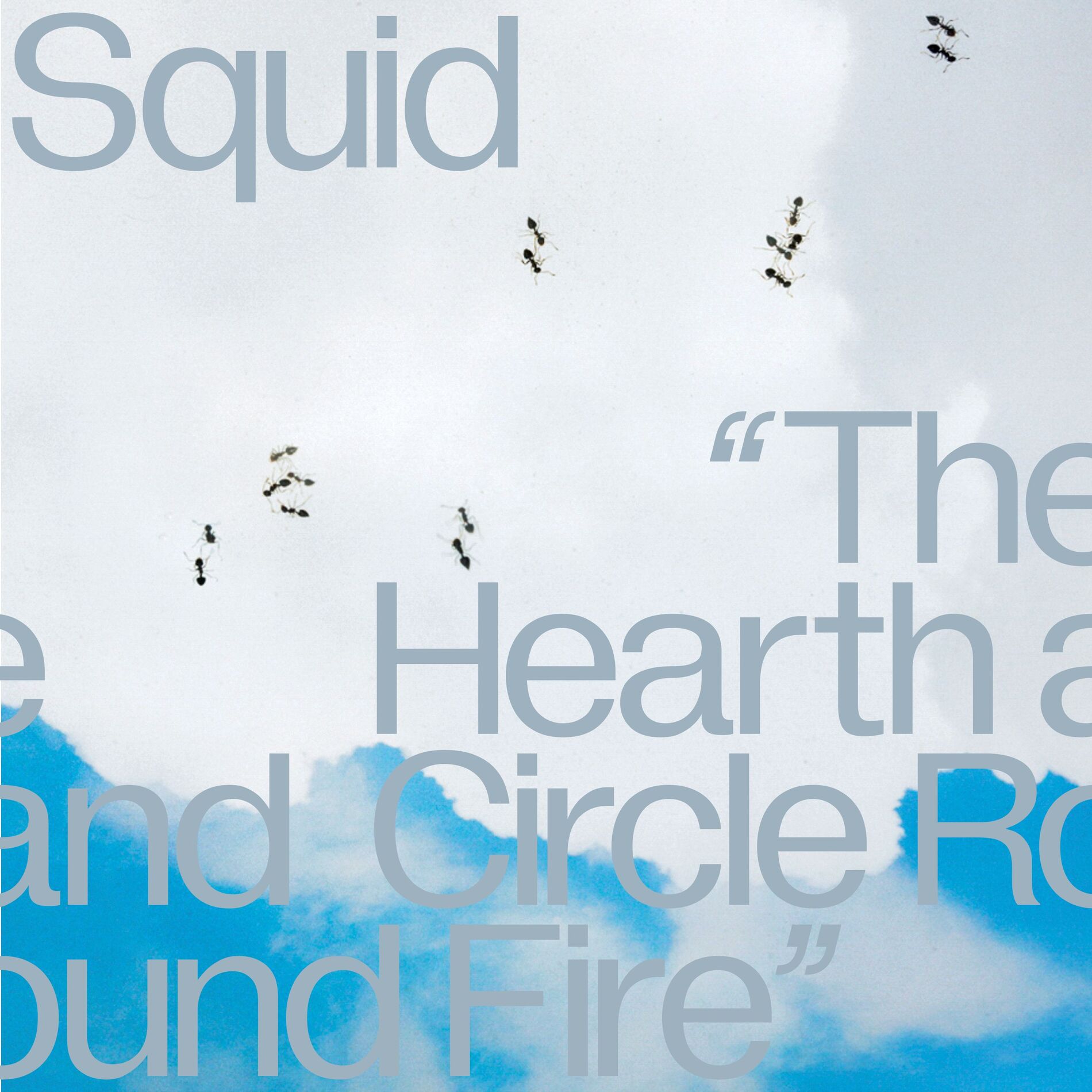 Album cover of The Hearth And Circle Round Fire