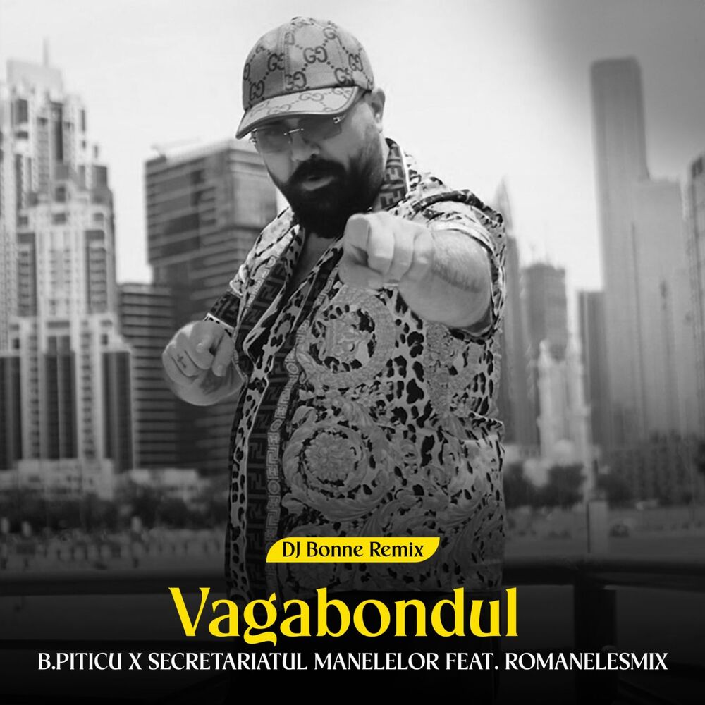 Picture of Vagabondul (Dj Bonne Remix)