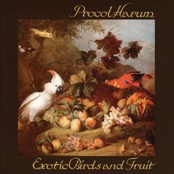 Cover of Exotic Birds and Fruit (Expanded Edition)