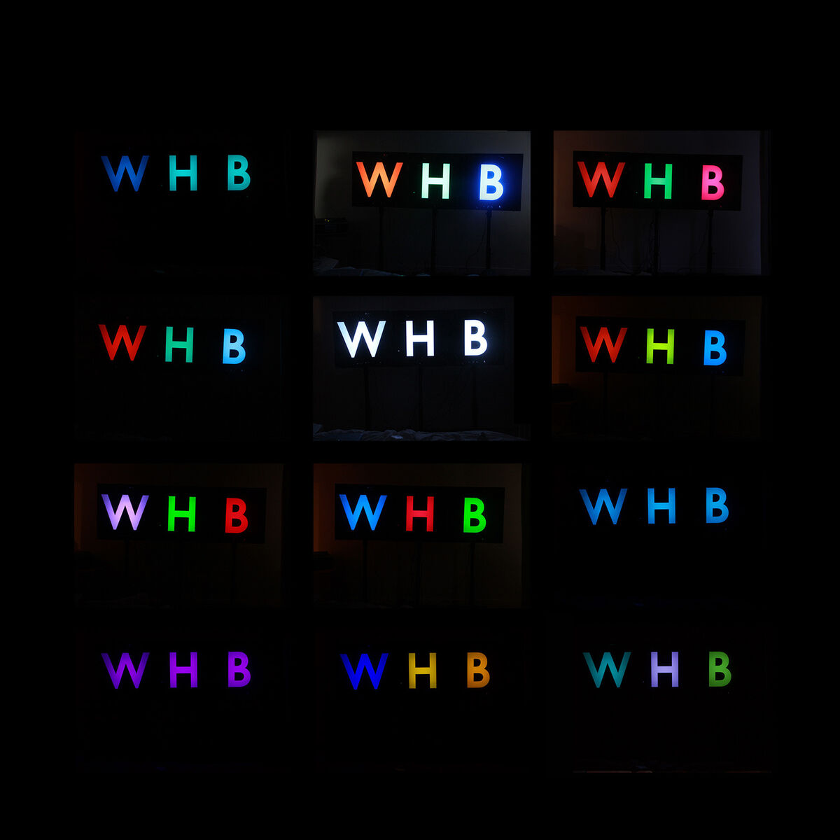 Album cover of The Woods EP