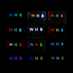 Cover of The Woods EP