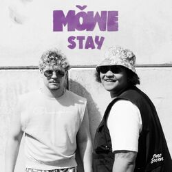 Cover of Stay