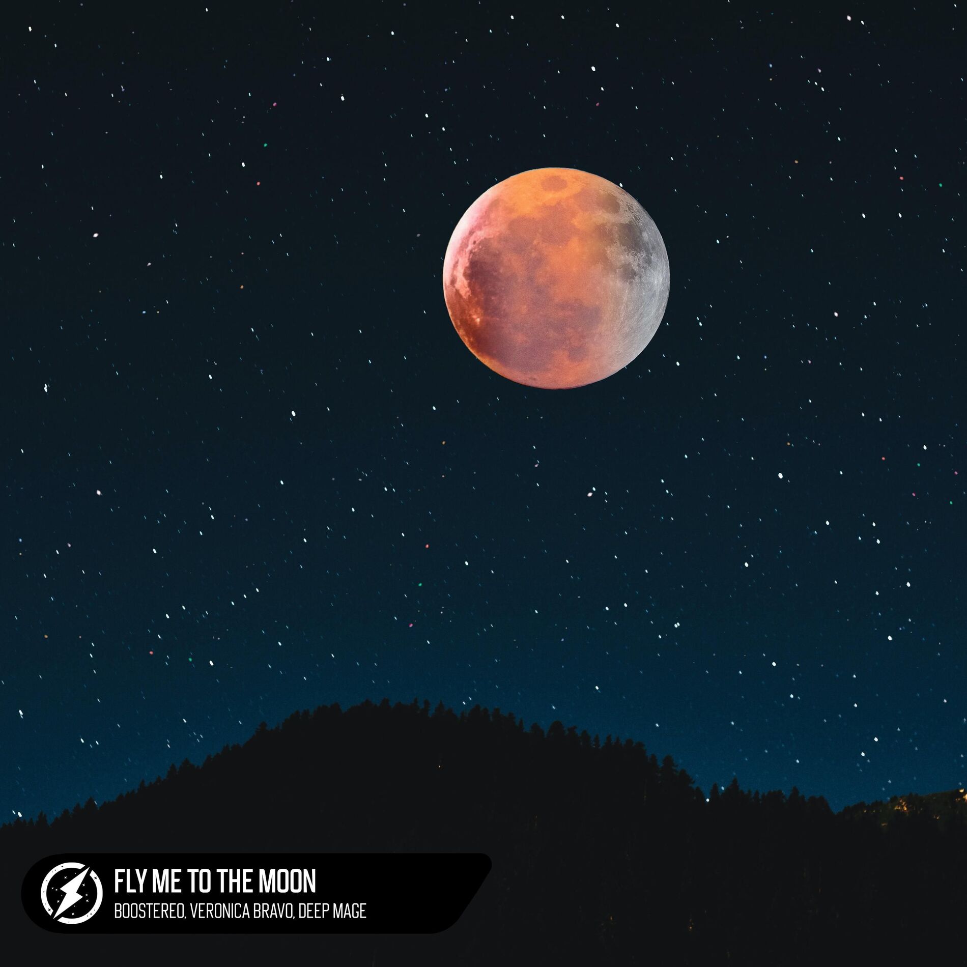 Album cover of Fly Me To The Moon