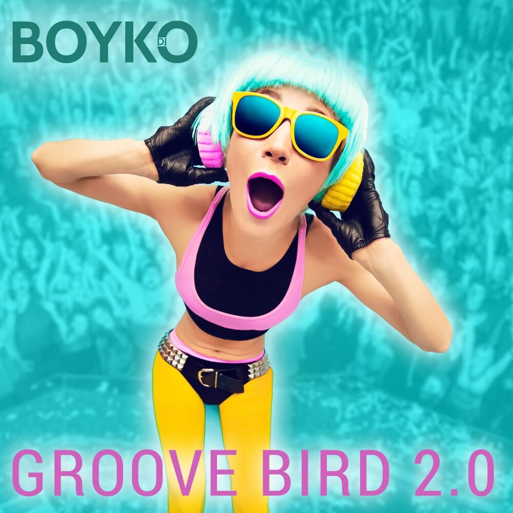 Picture of Groove Bird 2.0