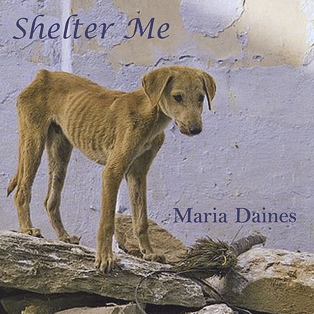 Album cover of Shelter Me