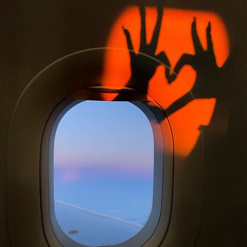 Picture of Flight To Vienna