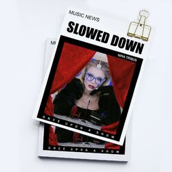 Cover of Once Upon a Show (Slowed + Reverb)