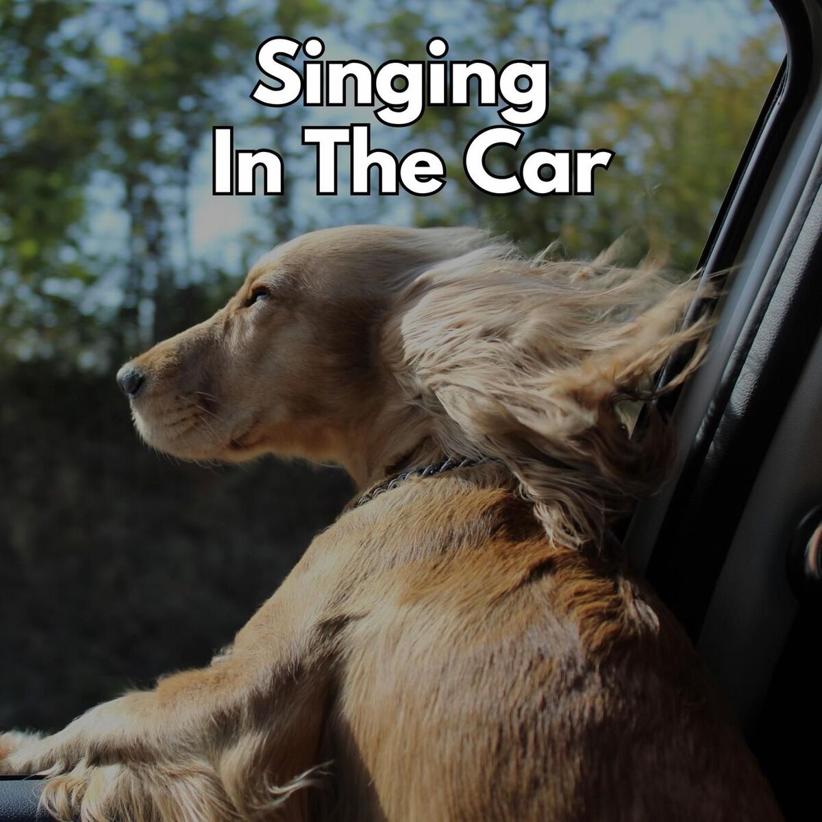 Album cover of Singing In The Car
