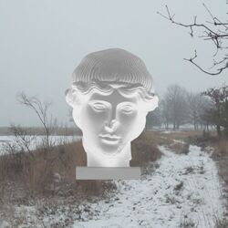 Cover of The North Wind
