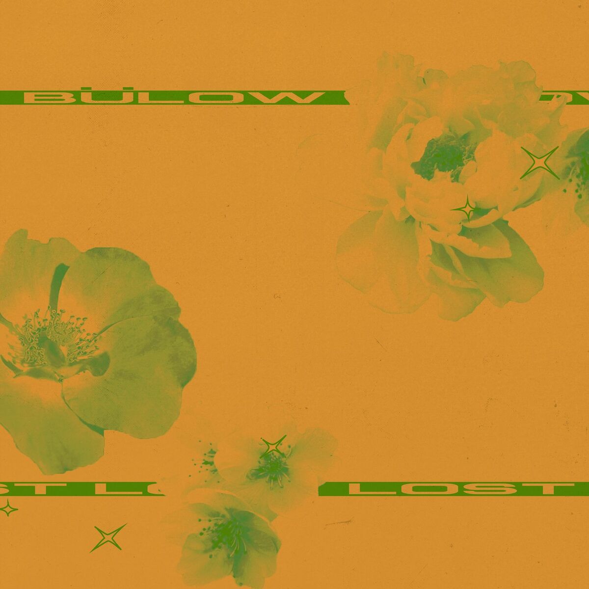 Album cover of Lost