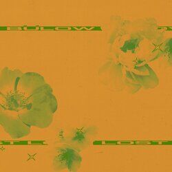Cover of Lost