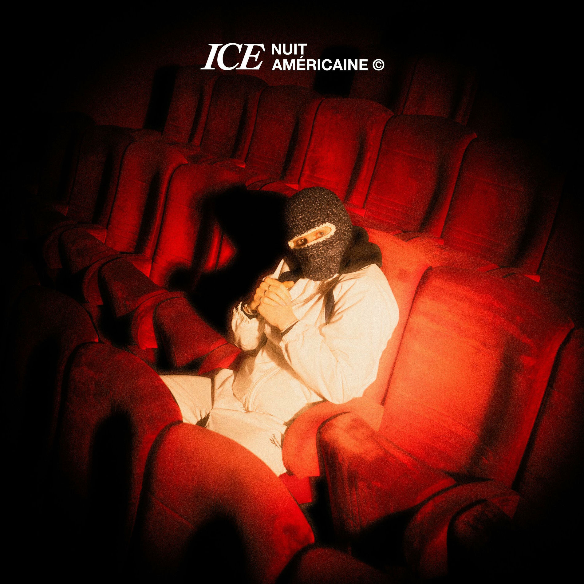 Album cover of NUIT AMERICAINE