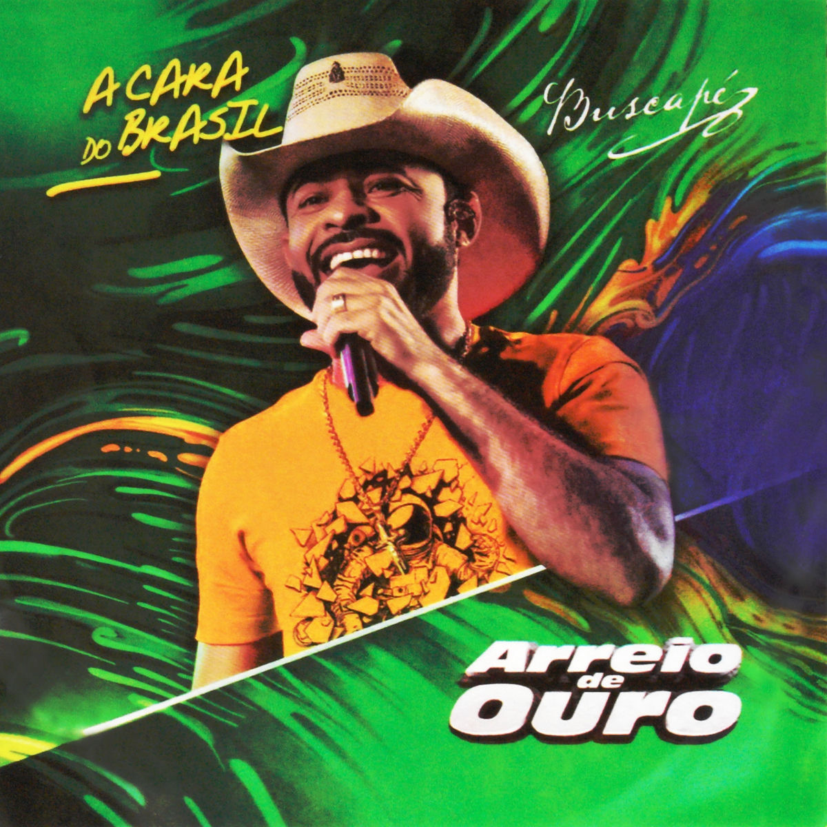Album cover of Vaqueiro Vaidoso