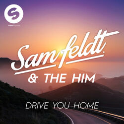 Cover of Drive You Home
