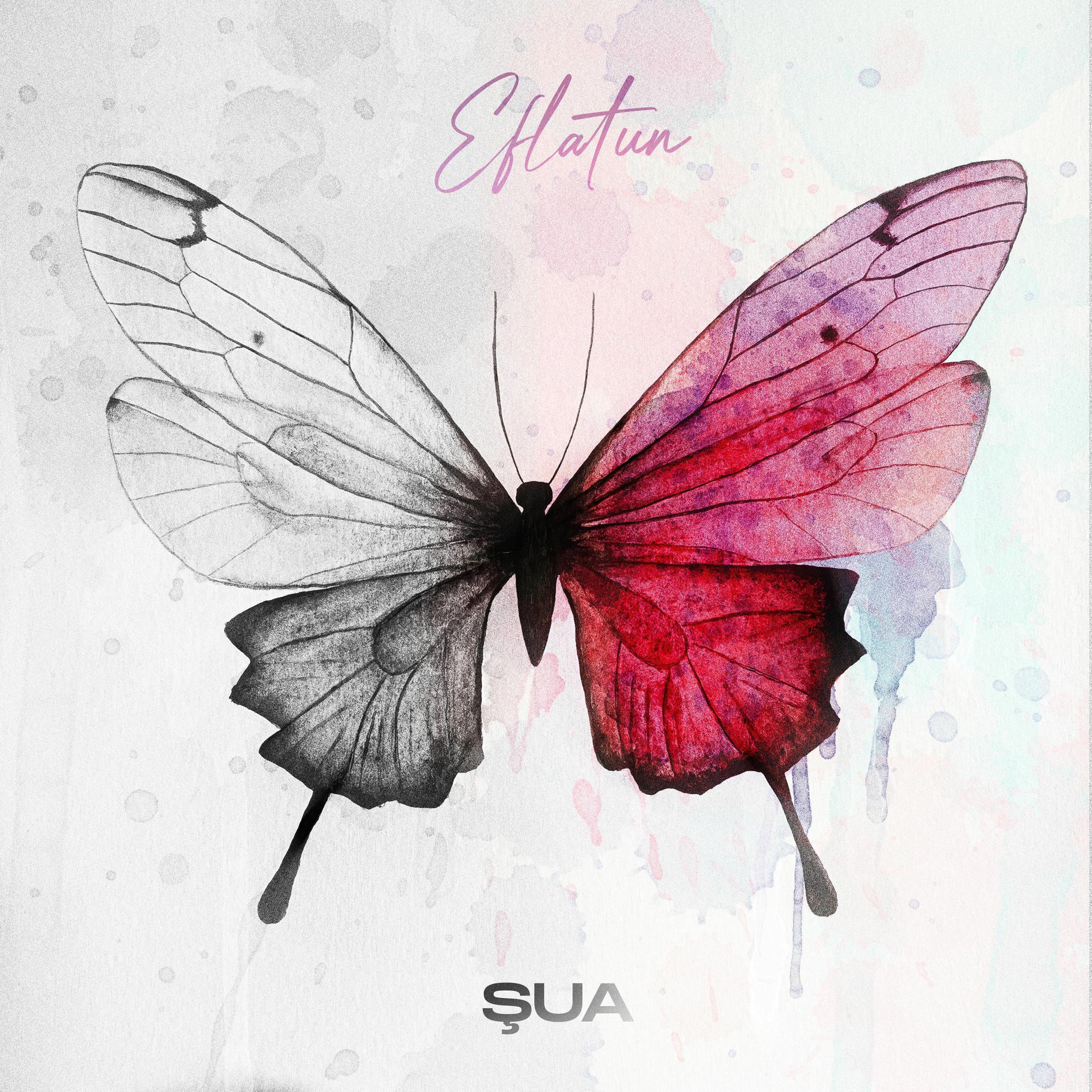 Album cover of EFLATUN