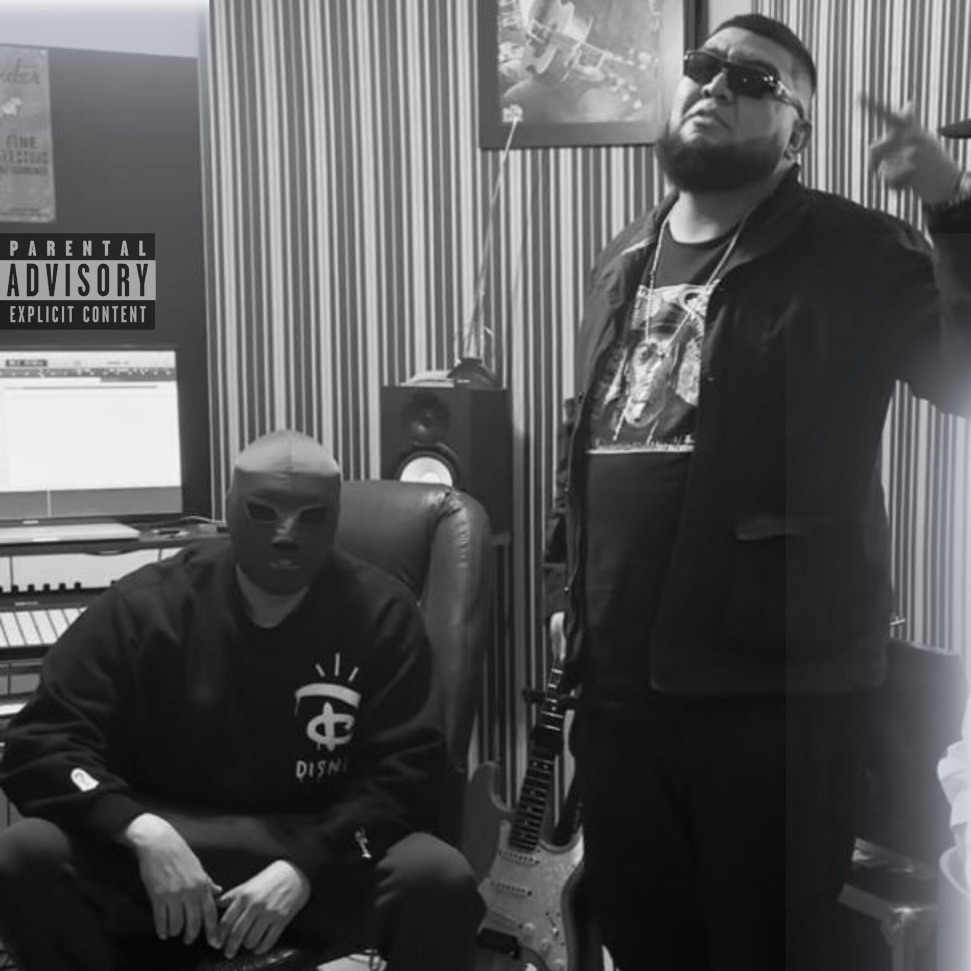 Album cover of Afelpado