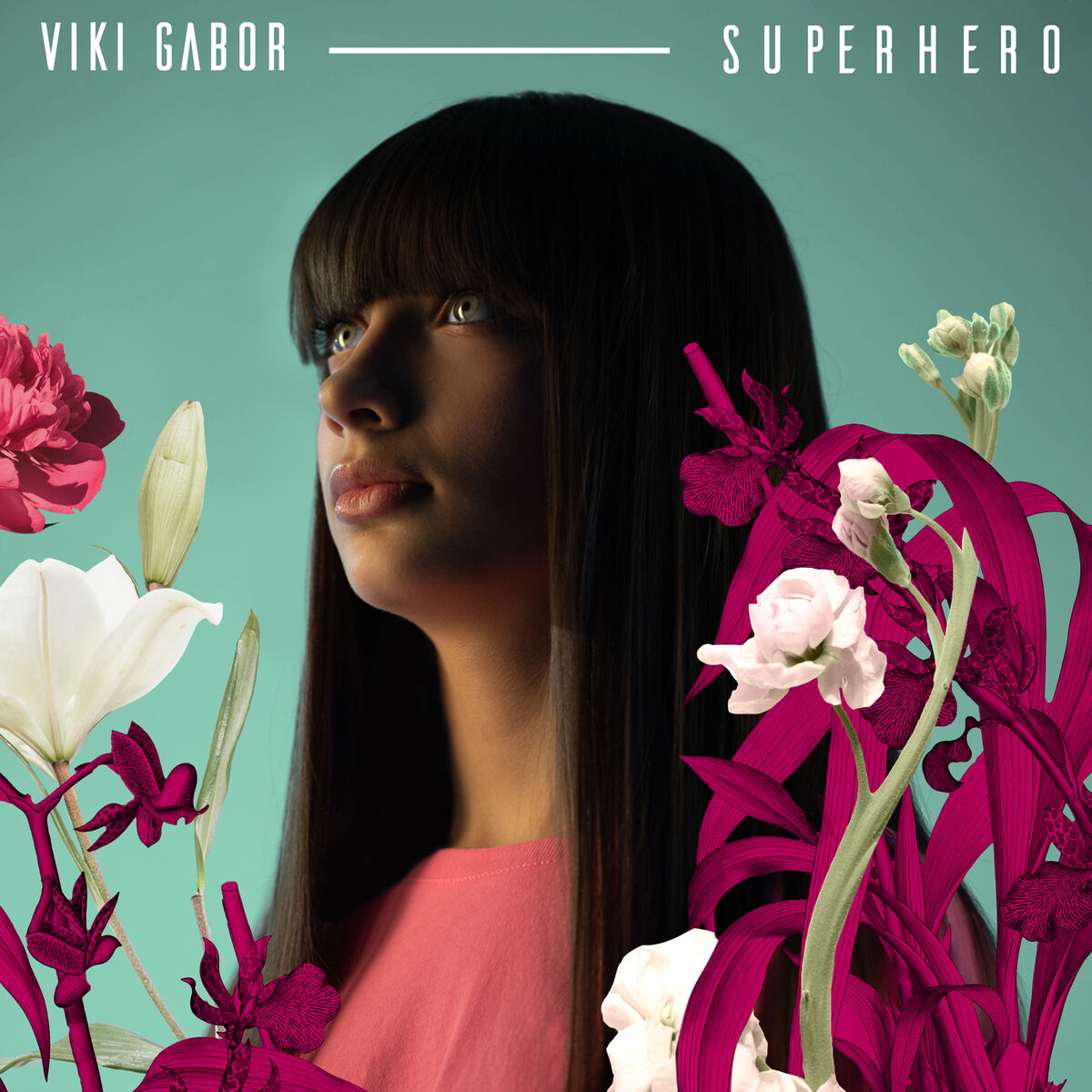 Album cover of Superhero