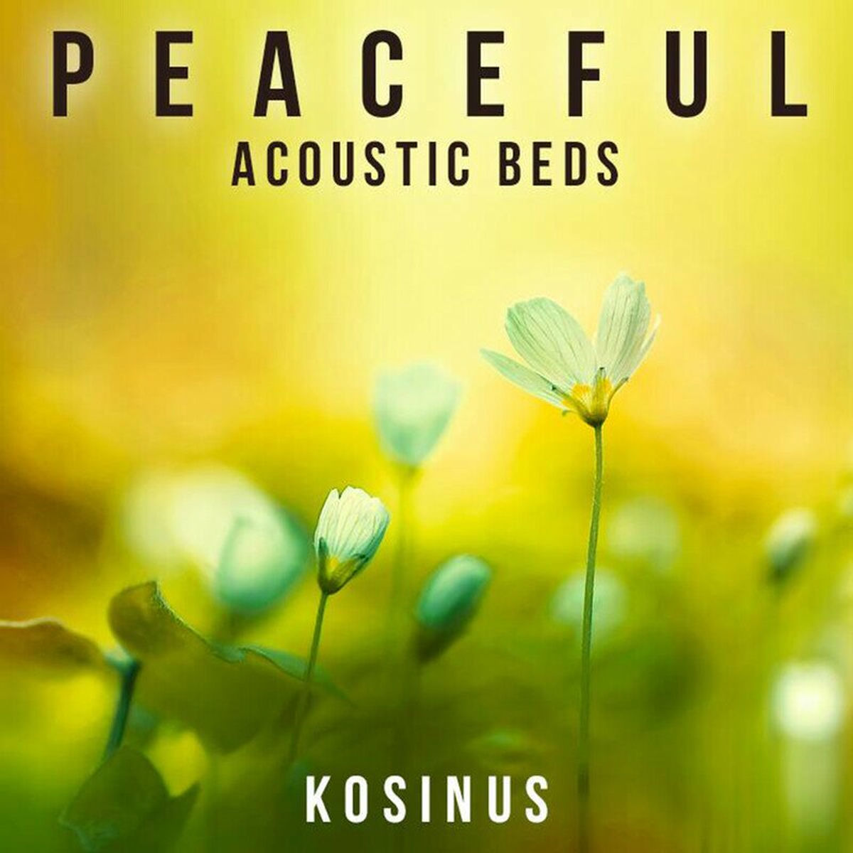 Album cover of Peaceful Acoustic Beds