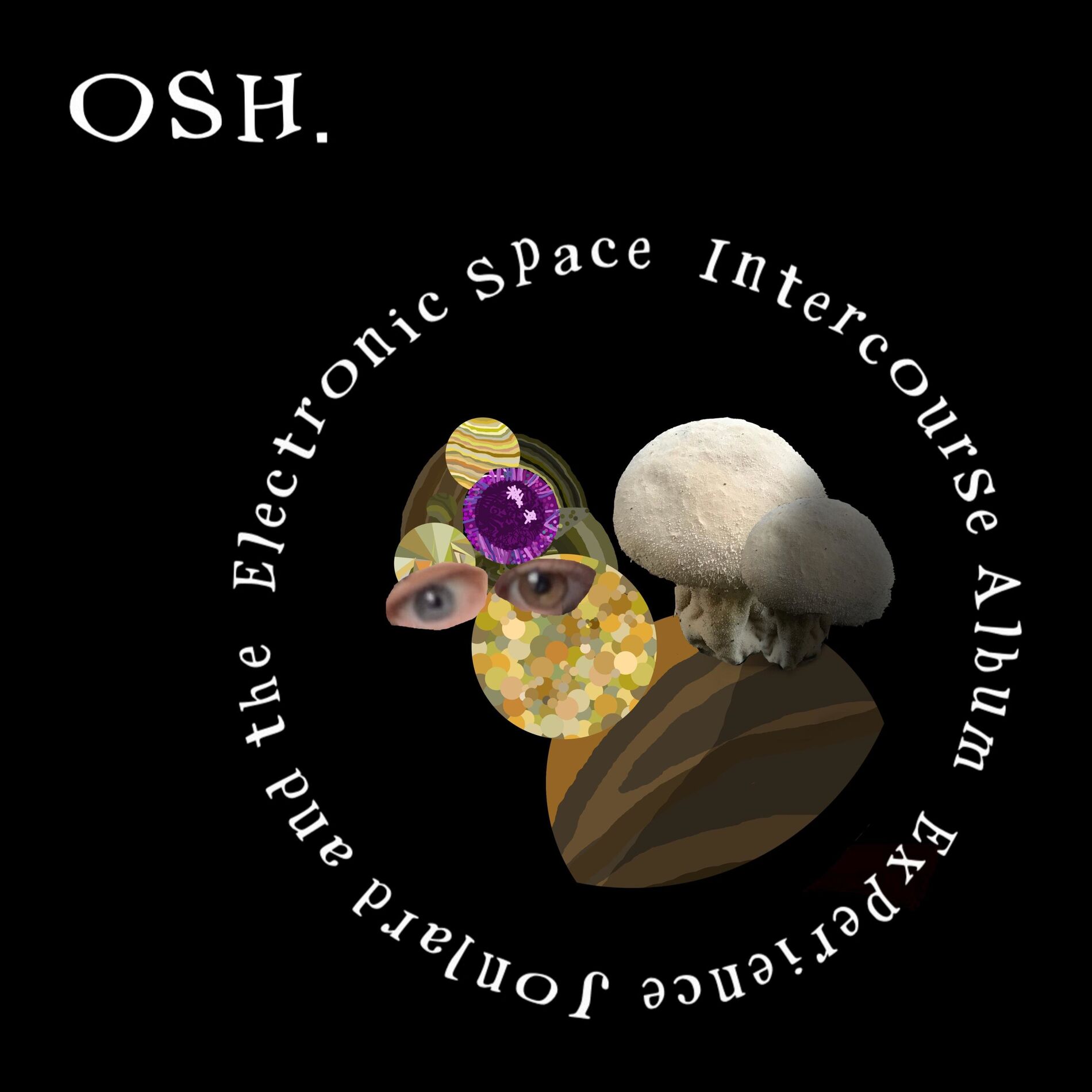 Album cover of Jonlard and the Electronic Space Intercourse Album Experience