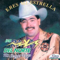 Cover of Eres Mi Estrella