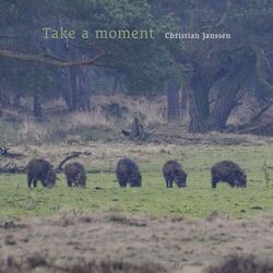 Cover of Take a moment