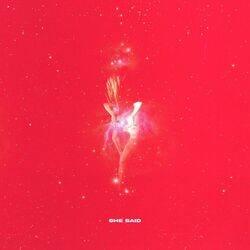 Cover of She Said
