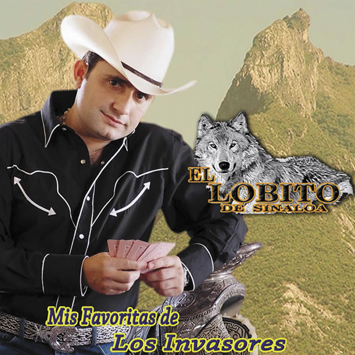 Album cover of Mis Favoritas de los Invasores