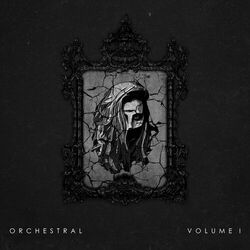 Cover of ORCHESTRAL VOLUME I
