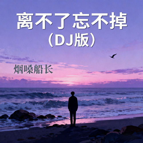 离不了忘不掉 (DJ版)