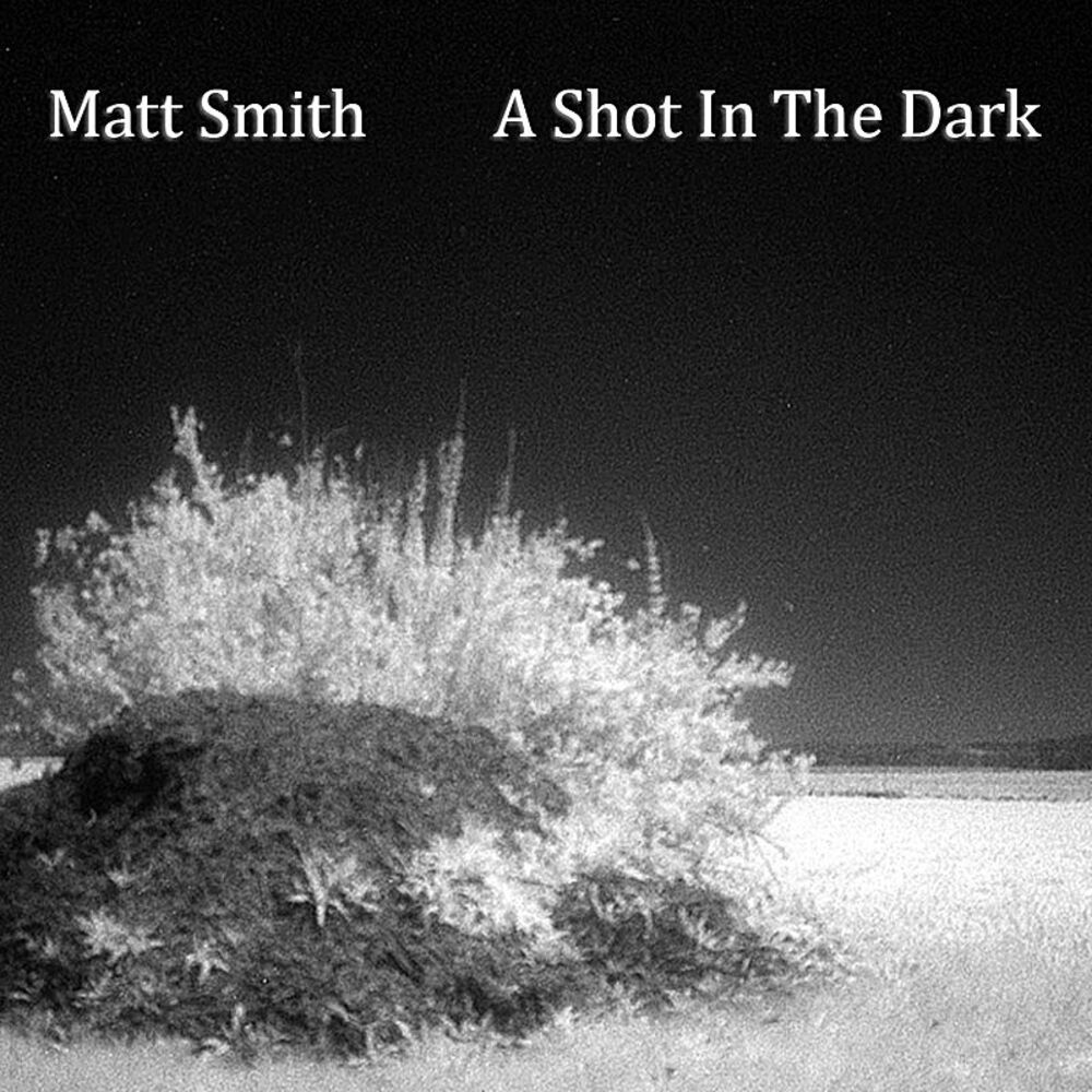Picture of A Shot In The Dark