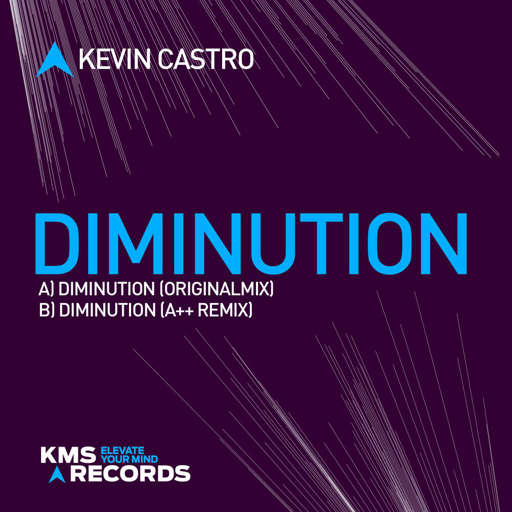Picture of Diminution