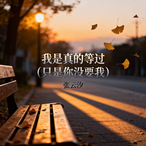 我是真的等过（只是你没要我）