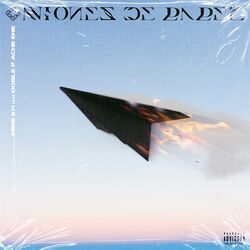 Cover of Aviones de Papel