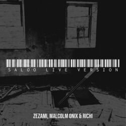 Cover of Saloo (Live Version)