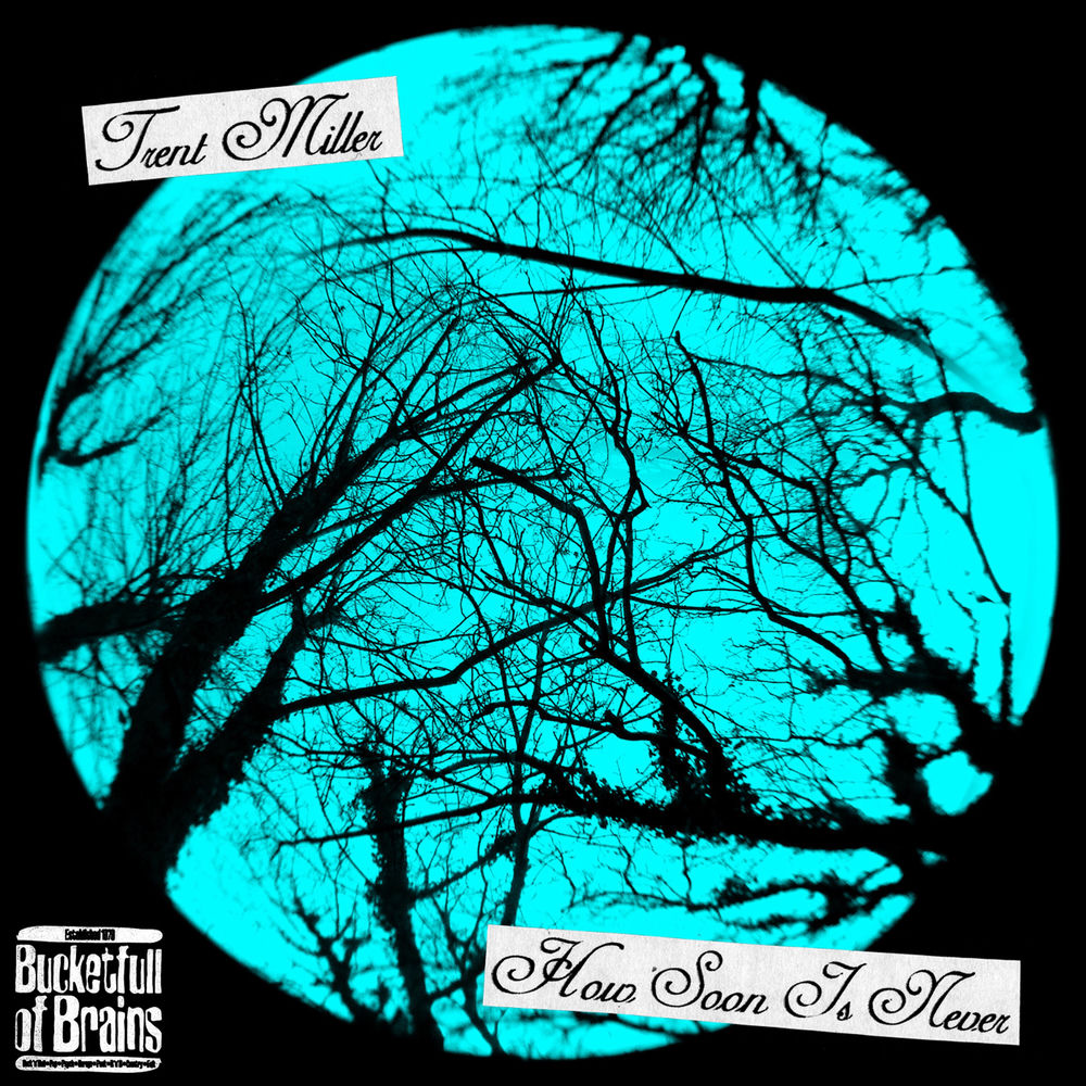 Cover du titre How Soon Is Never