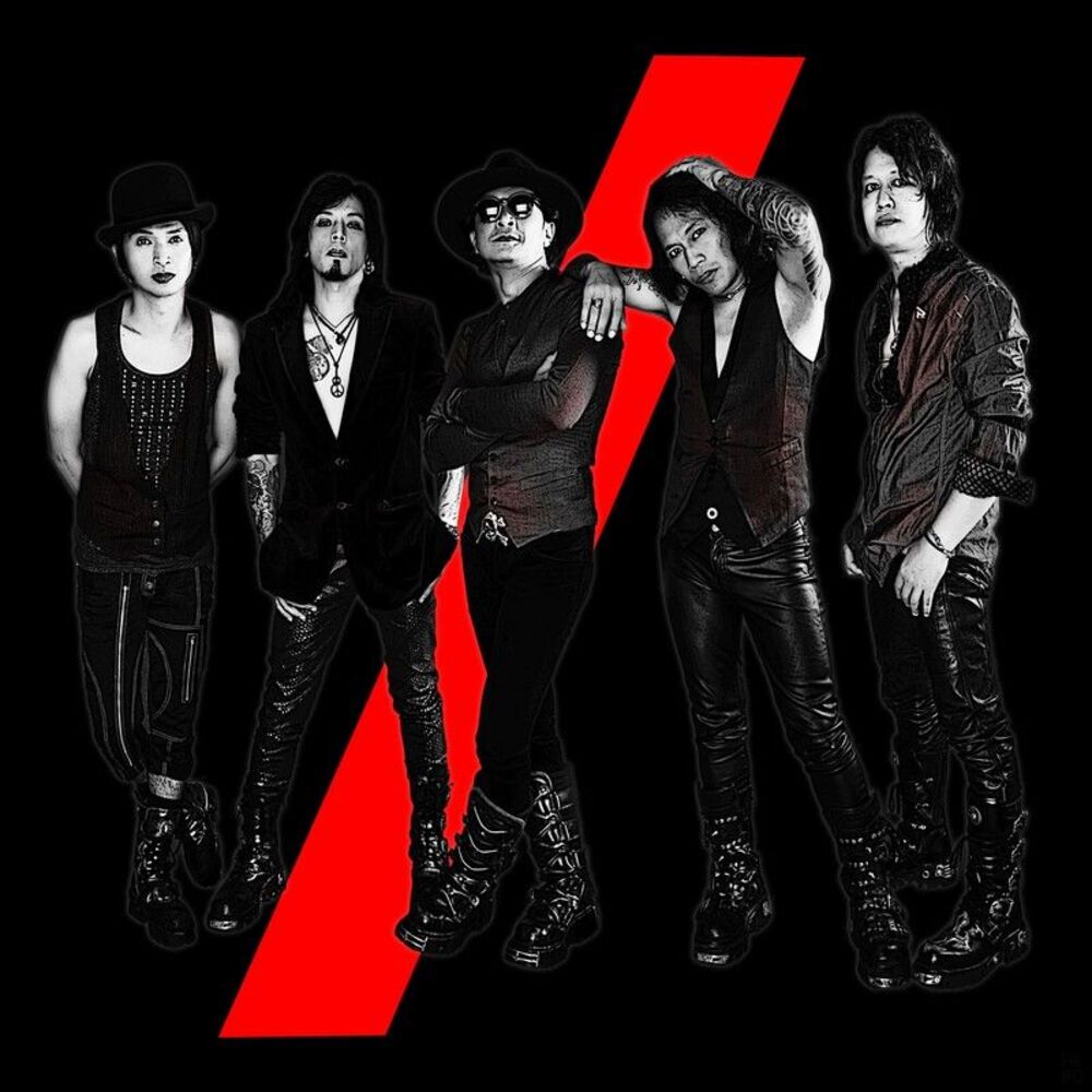 Picture of Turn Off the Light