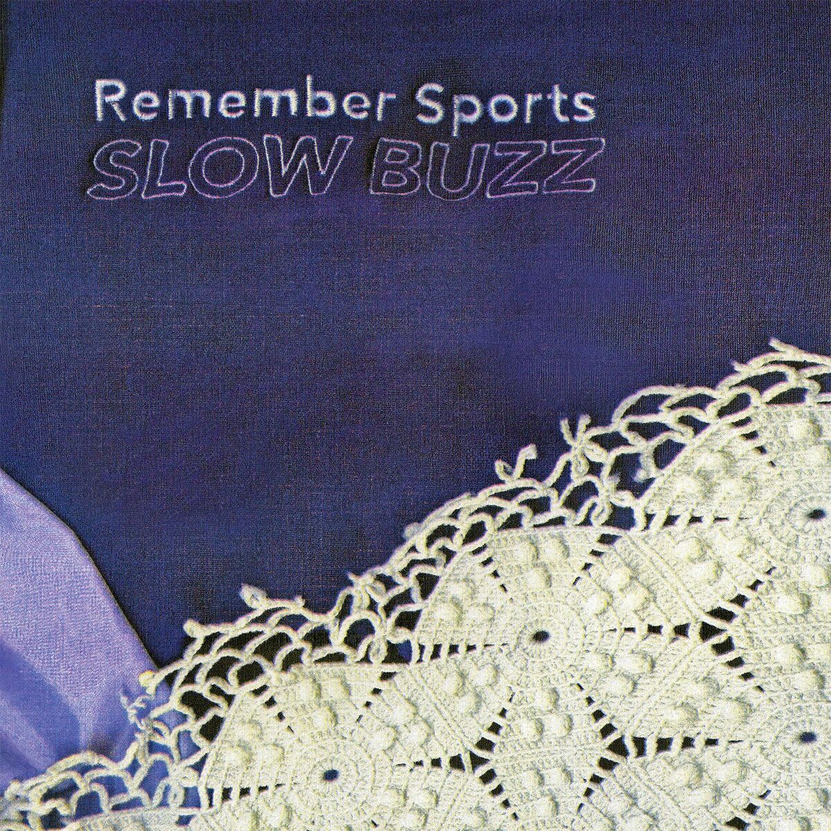 Album cover of Slow Buzz