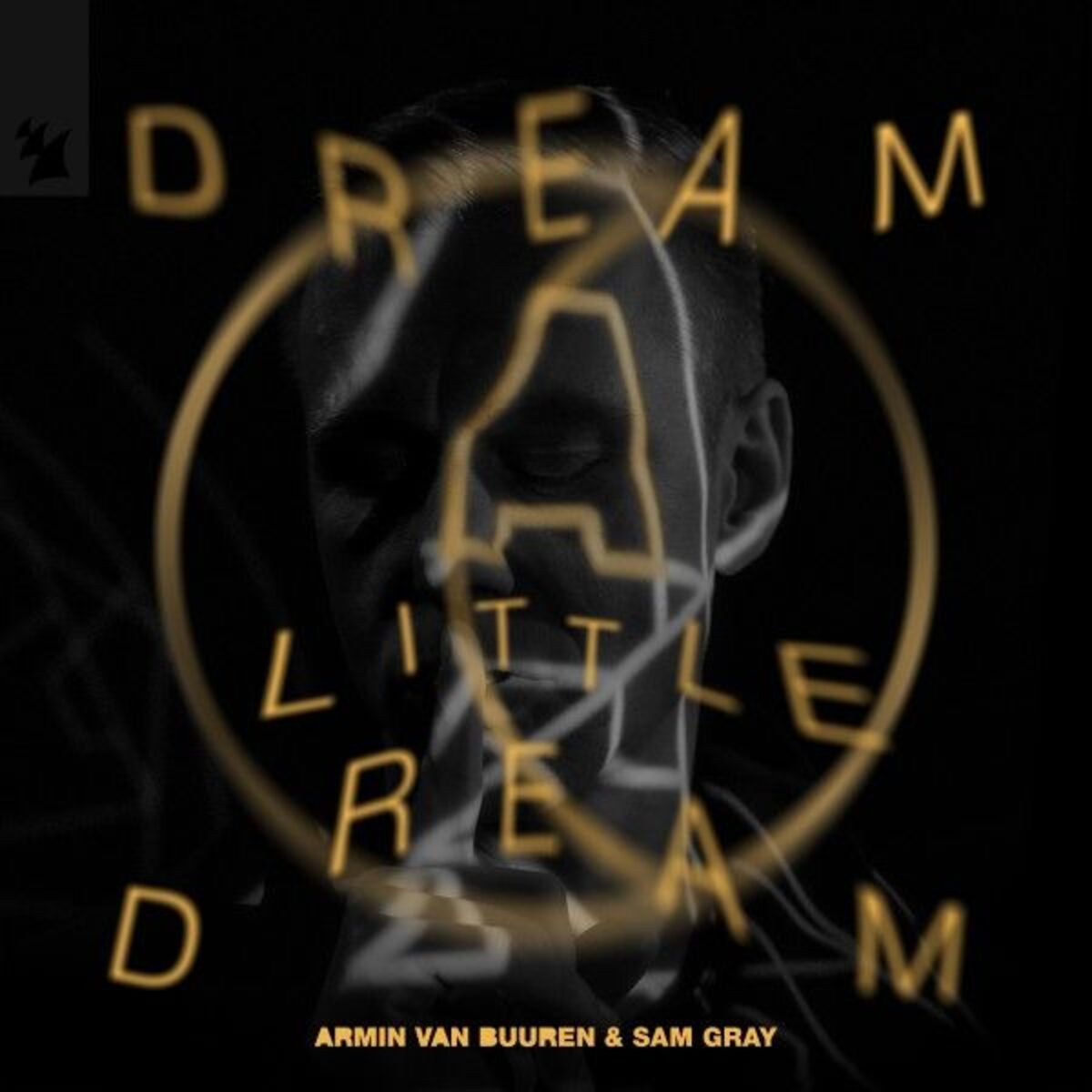 Album cover of Dream A Little Dream