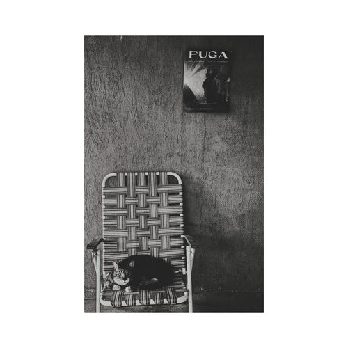 Fuga (feat. Celina Jury)