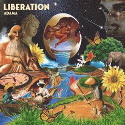 Cover of Liberation