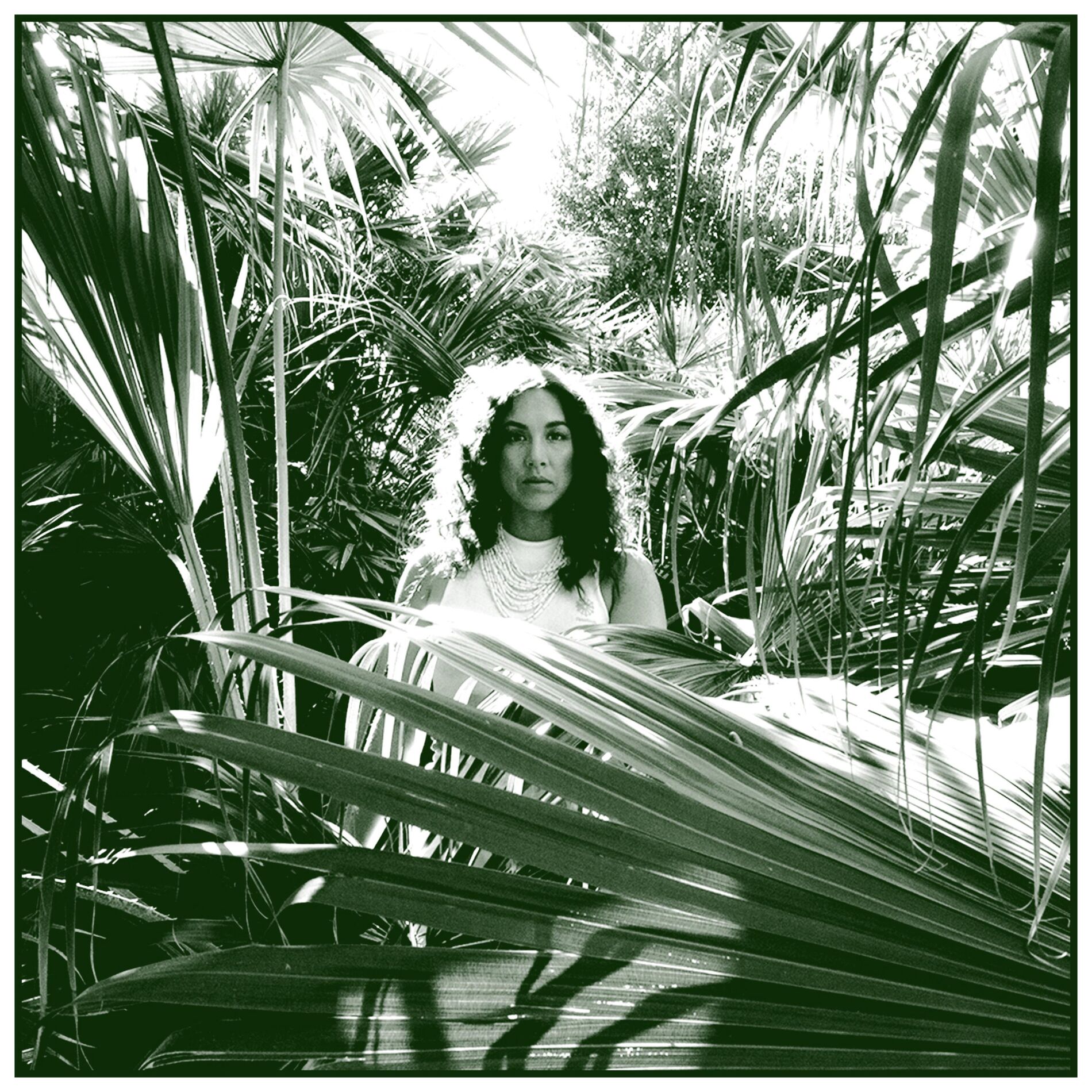 Album cover of Green
