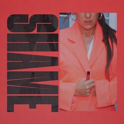 Cover of Shame