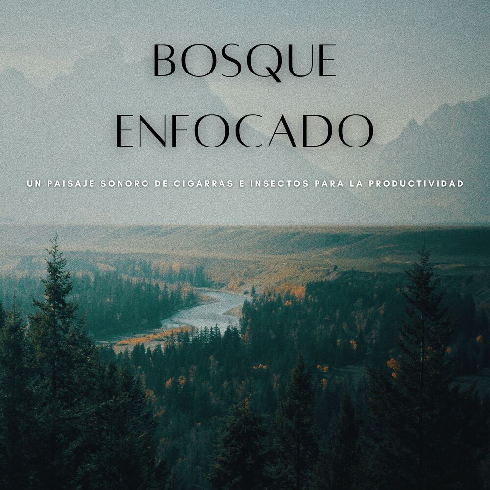 Picture of Bosque Enfocado: Un Paisaje Sonoro De Cigarras E Insectos Para La Productividad