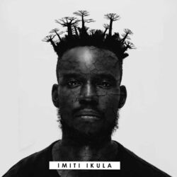 Cover of Imiti Ikula