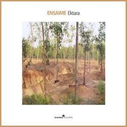 Pochette album
