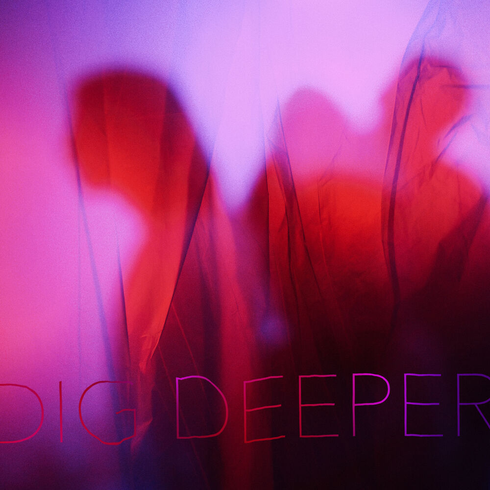 Picture of Dig Deeper